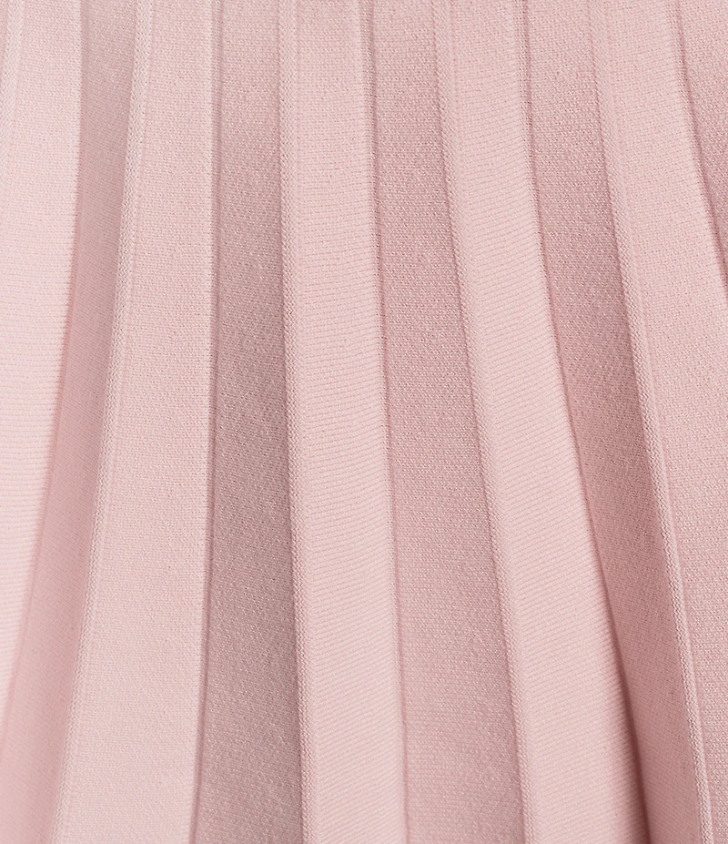 Lilly Pulitzer Suzette Sweater Knit Pleated Stripe Trim Coordinating Skirt