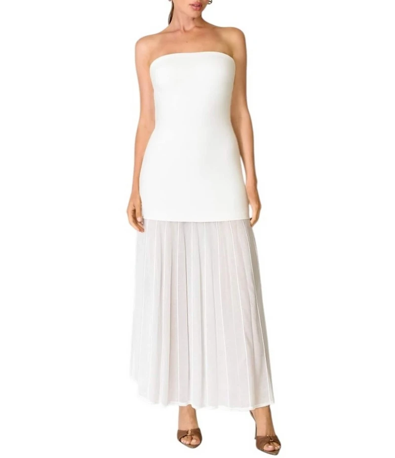 Line and Dot Perissa Mixed Media Strapless Fit and Flare Maxi Dress