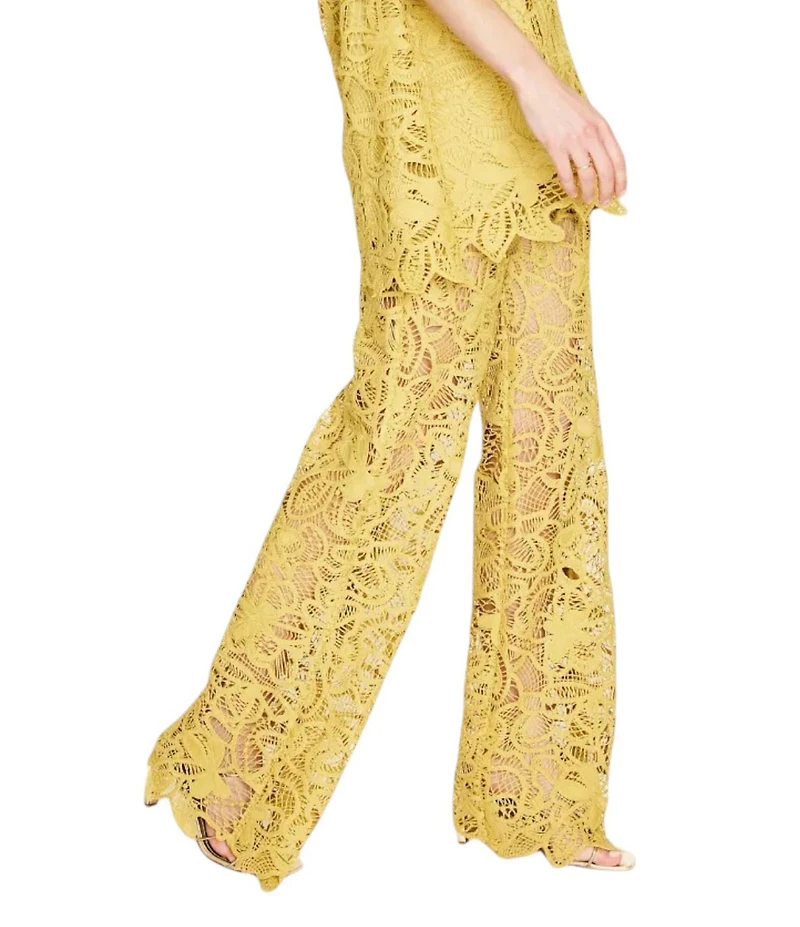 Line and Dot Tansy Lace Overlay High Rise Coordinating Pants