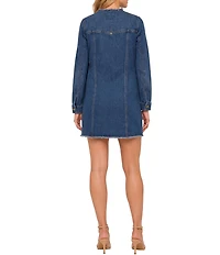 Liverpool Los Angeles Denim Collarless Long Sleeve Trucker Dress
