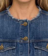 Liverpool Los Angeles Denim Collarless Long Sleeve Trucker Dress