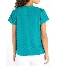 Liverpool Los Angeles Knit Stripe V-Neck Short Sleeve Top