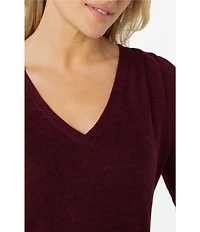 Liverpool Los Angeles Stretch Knit Shirring V-Neck Long Sleeve Top