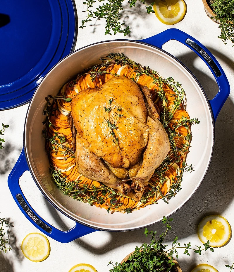 Lodge Cast Iron USA Enamel Round Dutch Oven- 7.5 Quart
