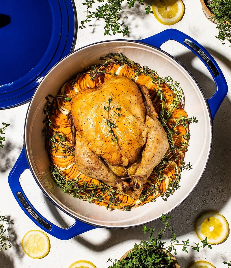 Lodge Cast Iron USA Enamel Round Dutch Oven- 7.5 Quart