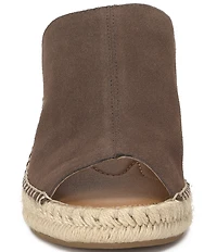Lucky Brand Cabriah Suede Espadrille Wedge Slide Sandals