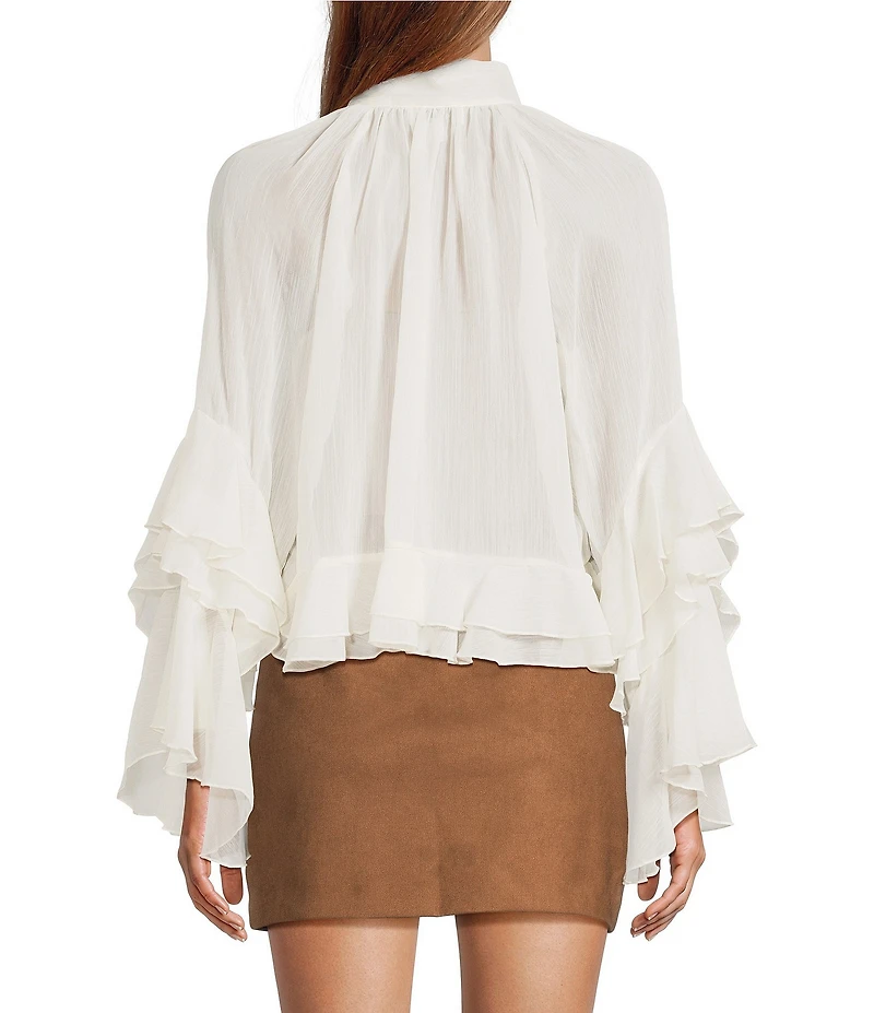 Lucy Paris Kyle V-Neck Long Sleeve Chiffon Ruffle Top