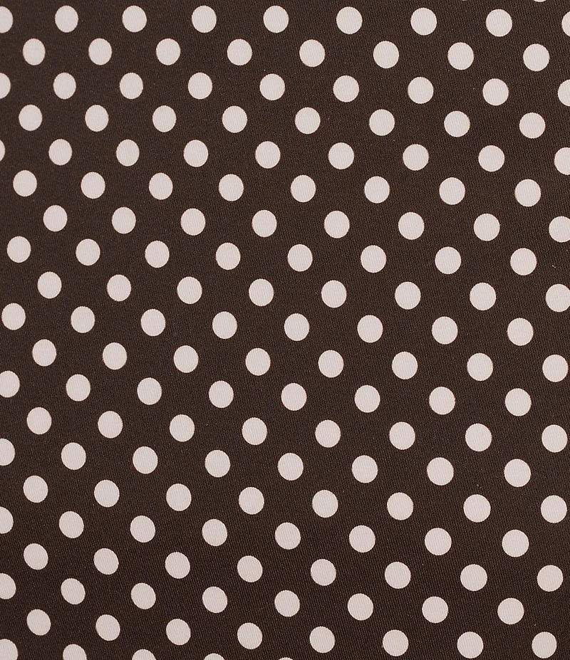 Lucy Paris Montana Polka Dot Printed Coordinating A-Line Mini Skirt