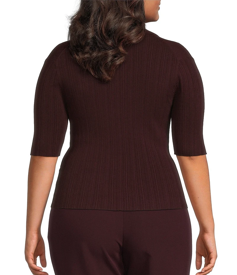 Lucy Paris Plus Size Callan Short Sleeve Sweater Top