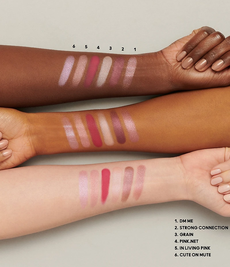 MAC Connect In Colour Eye Shadow Palette Rose Lens X 6