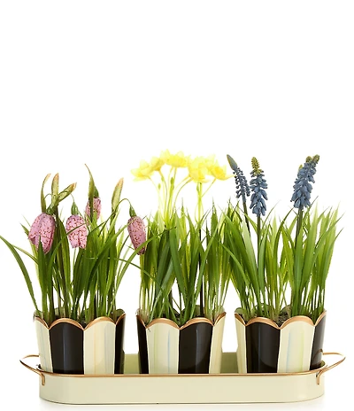 MacKenzie-Childs Easter Collection Stripe Scalloped Triple Potted Blooms Tray