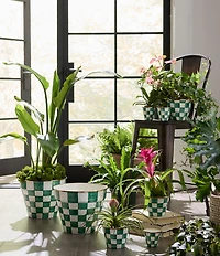 MacKenzie-Childs Check Herb Pots, Set of 3