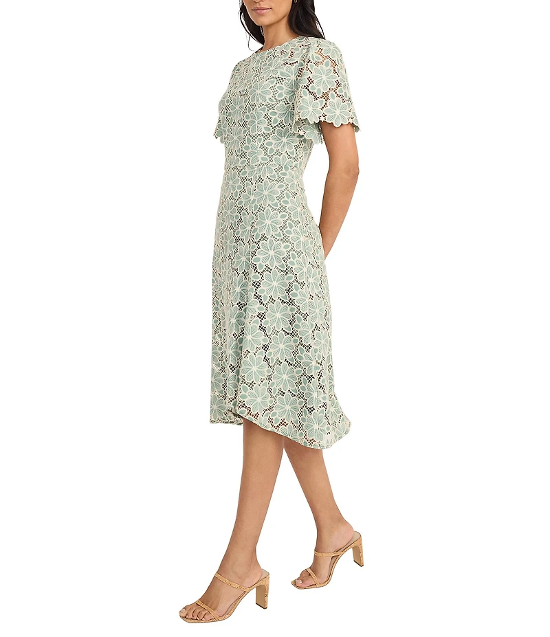 Maggy London Round Neck Flutter Sleeve Floral Lace A-Line Midi Dress
