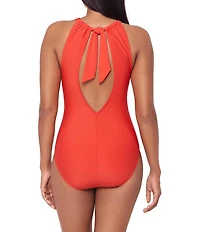 Magicsuit Amelia Solid High Neck Hidden Underwire Bra Open Portrait Back One Piece Swimsuit