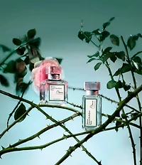 Maison Francis Kurkdjian l'Homme A la rose Eau de Parfum