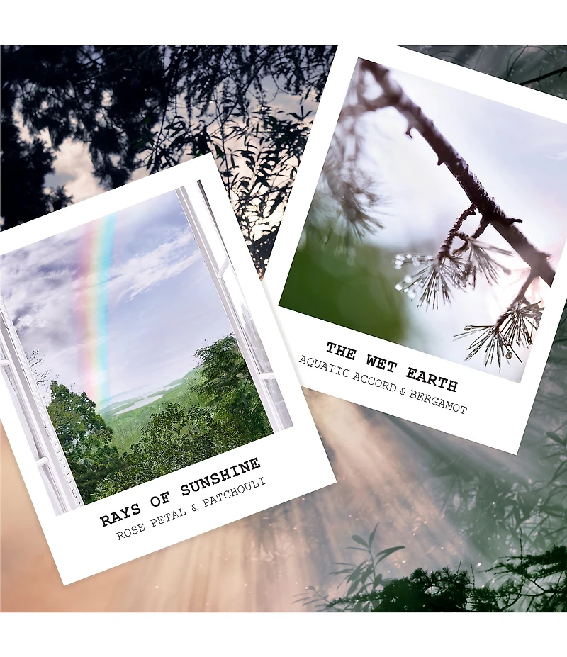 Maison Margiela REPLICA When the Rain Stops Eau de Toilette