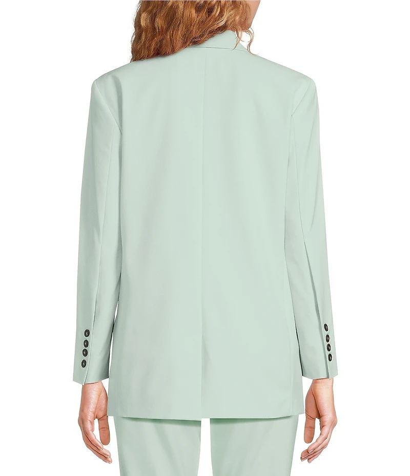 Marella Rubens Stretch Microfiber Canvas Notch Lapel Collar Long Sleeve Two-Button Jacket