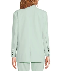 Marella Rubens Stretch Microfiber Canvas Notch Lapel Collar Long Sleeve Two-Button Jacket