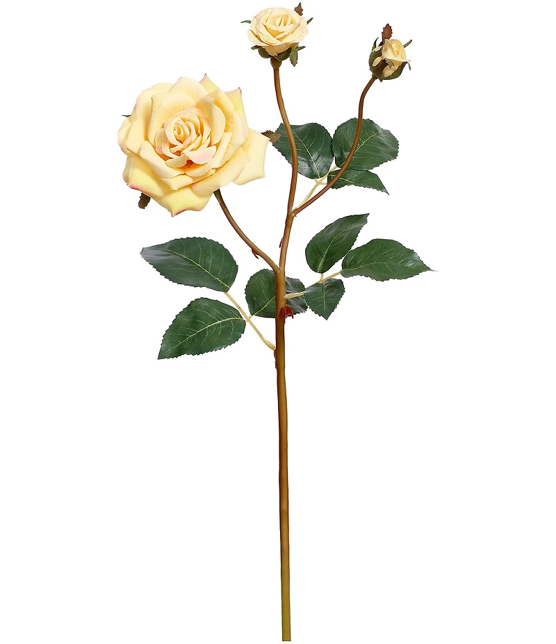 Mark Roberts Bundle of 12 Garden Rose Set