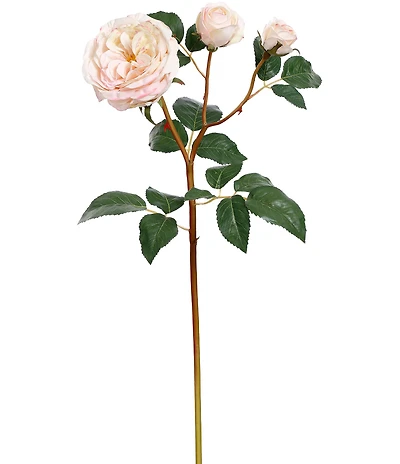 Mark Roberts Cabbage Rose, Boxed Set of 12