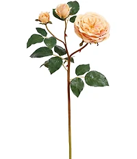 Mark Roberts Cabbage Rose, Boxed Set of 12