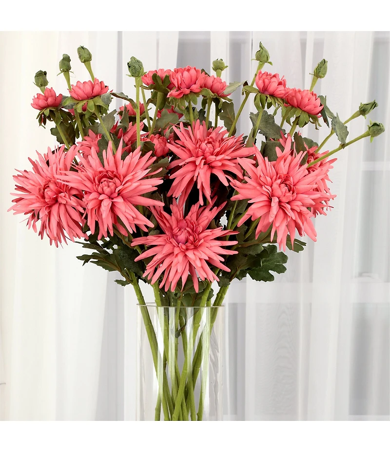 Mark Roberts Chrysanthemum-Pink 28#double; Box of 12