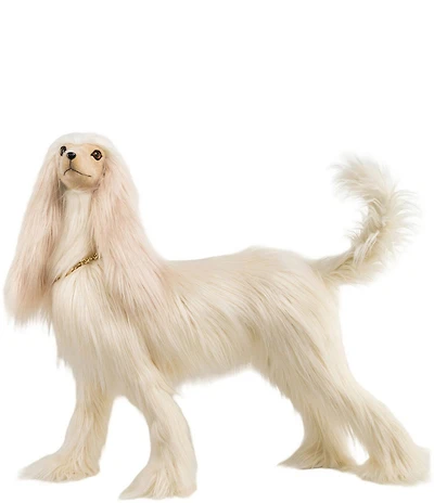 Mark Roberts Elegant Posing Whippet