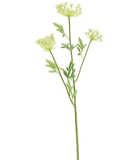 Mark Roberts Lace Flower-White Box Set Of 12