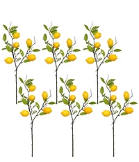 Mark Roberts Lemon Spray