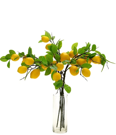 Mark Roberts Lemon Spray