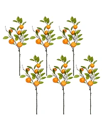 Mark Roberts Orange Spray