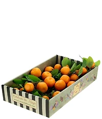 Mark Roberts Orange Spray