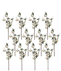 Mark Roberts Pomegranate Spray Set Of 12