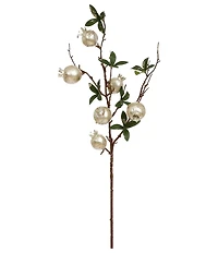 Mark Roberts Pomegranate Spray Set Of 12