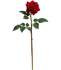 Mark Roberts Prize Rose, Boxed Set of 12