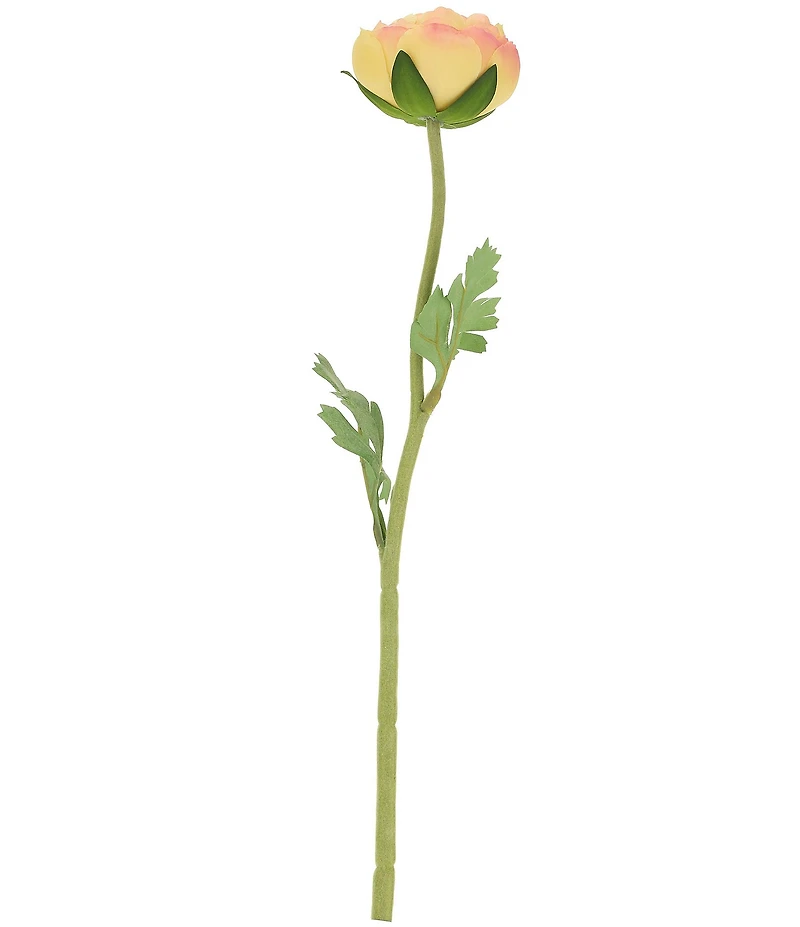 Mark Roberts Ranunculus, Set of 12