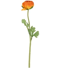Mark Roberts Ranunculus, Set of 12