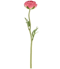 Mark Roberts Ranunculus, Set of 12