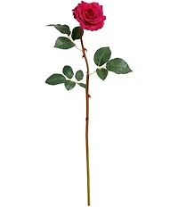 Mark Roberts Tea Rose, Boxed Set of 12