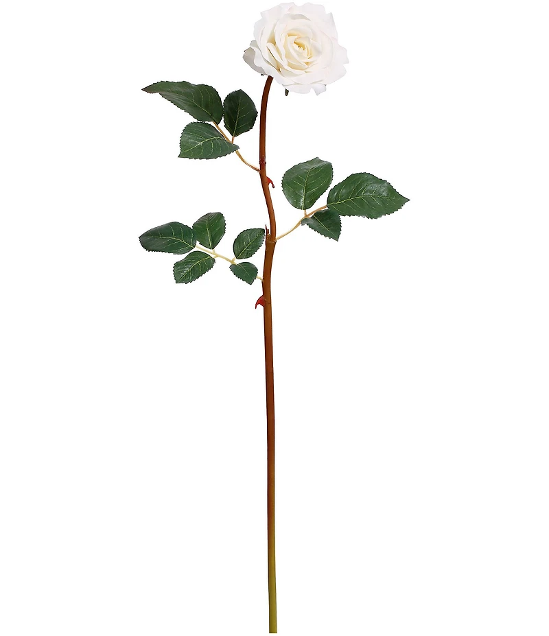 Mark Roberts Tea Rose, Boxed Set of 12