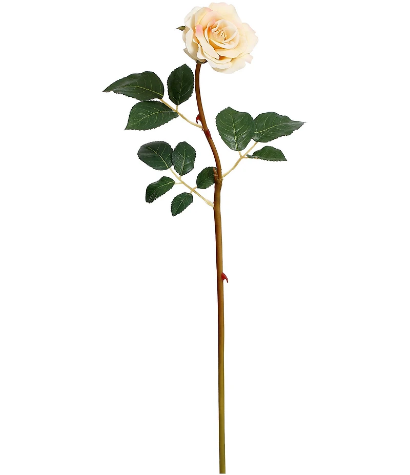 Mark Roberts Tea Rose, Boxed Set of 12