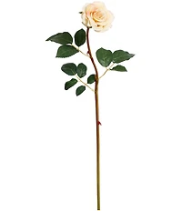 Mark Roberts Tea Rose, Boxed Set of 12
