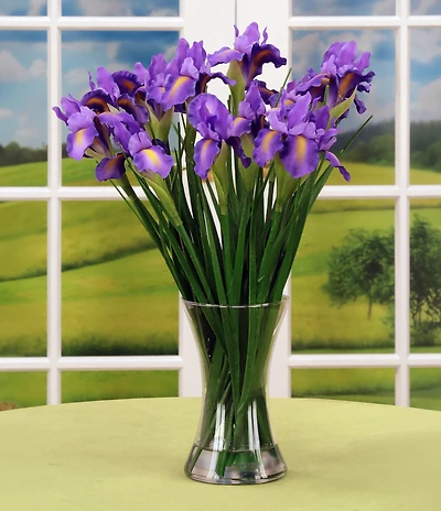 Mark Roberts Vase Of Iris