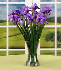 Mark Roberts Vase Of Iris