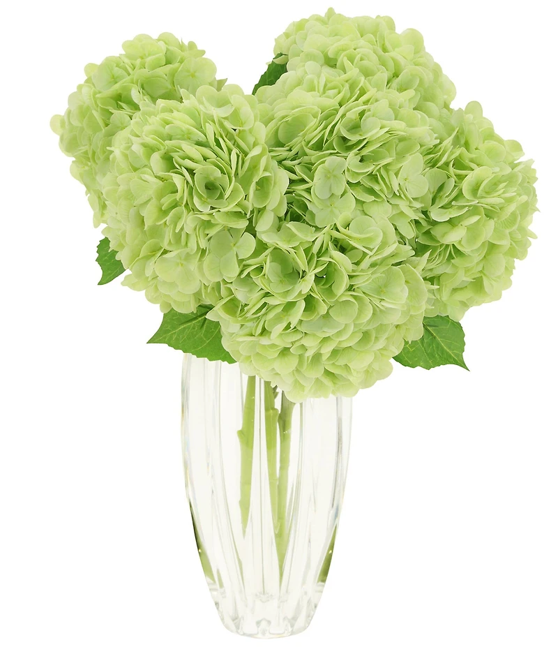 Mark Roberts Vibrant Hydrangea Natural Touch Stems, Boxed Set of 6