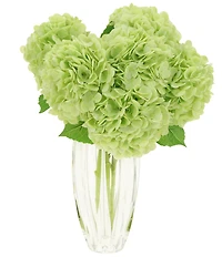 Mark Roberts Vibrant Hydrangea Natural Touch Stems, Boxed Set of 6