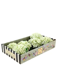 Mark Roberts Vibrant Hydrangea Natural Touch Stems, Boxed Set of 6