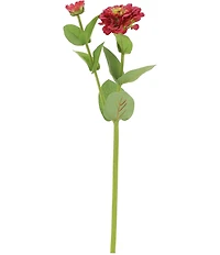 Mark Roberts Zinnia, Set Of 12