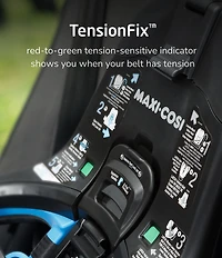 Maxi Cosi Andi 360° Rotating All-in-One Convertible Car Seat