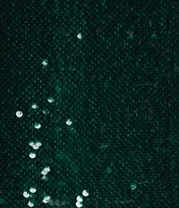 MELLODAY Sequin V-Neck Short Dolman Sleeve Blouse